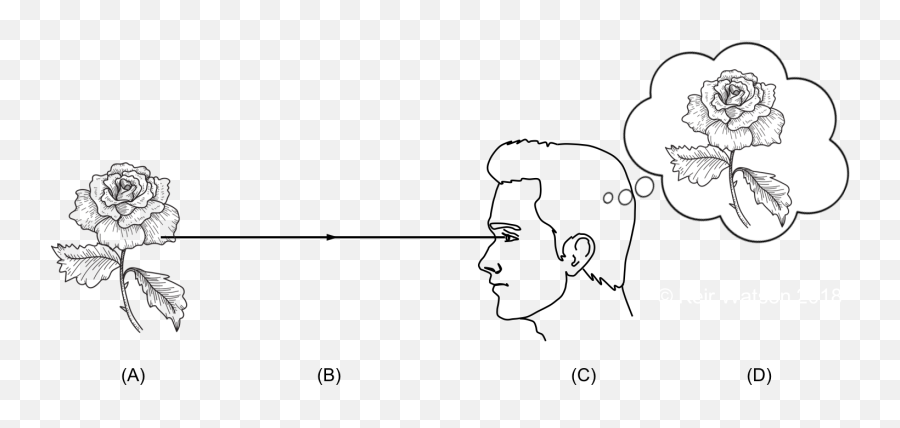 Is Consciousness A Parasite Inhabiting Matter Or A Symbiote Emoji,Symbiote Emotions