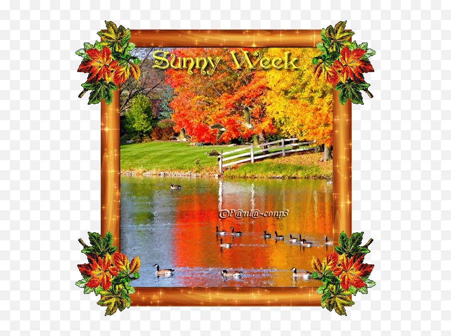 Sunny Week Grüße Zum Wochenende Grüße Herbst - Horizontal Emoji,Speedy Gonzales Emoticon