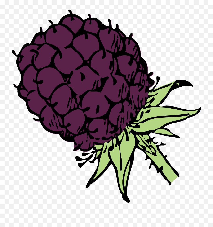 Blackberry Clipart - Blackberry Clip Art Emoji,Blackberry Emoji