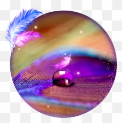 Pink Colorful Feather Live Wallpaper - Krishna Peacock Feather Wallaper Emoji,Feather Emoji