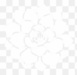 The Best 10 Flower Overlays For Edits Png - Overlays For Edits Flowers Emoji,High Resolution Flower Emoji