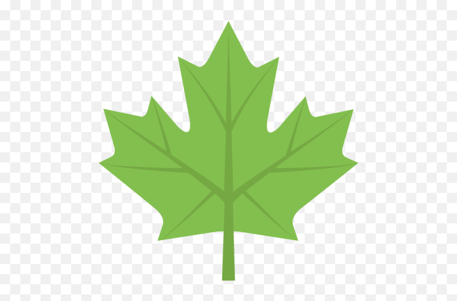 Maple Emoji - Maple Leaf Png Canada,Face With Mask And Leaf Emoji