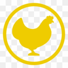 Chickensyou - Your Guide To Keeping Chickens At Home Emoji,Facebook Emotions Chickens