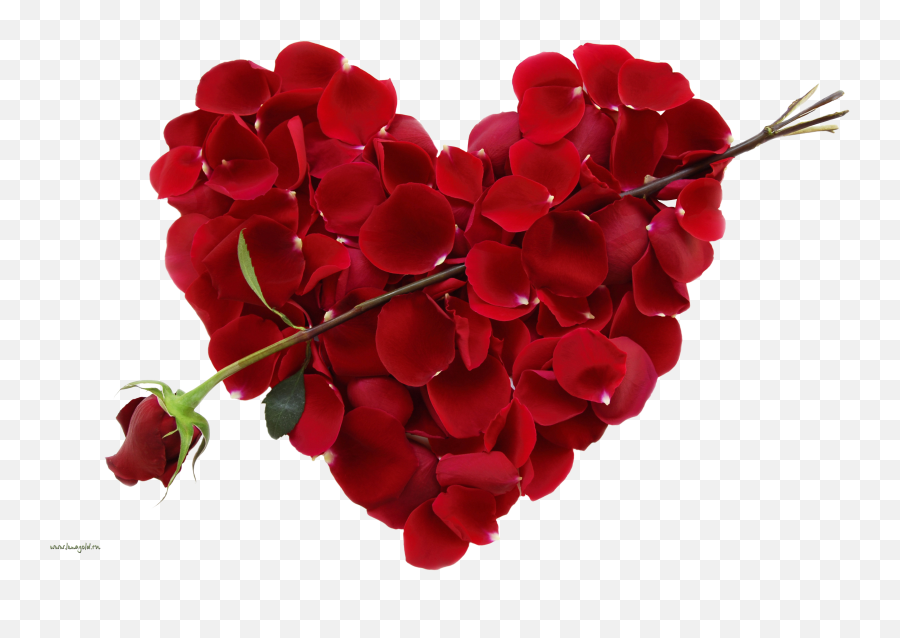 Rose Png Love Valentines Day - Many Days Until Day Emoji,Valentine Day Emoji