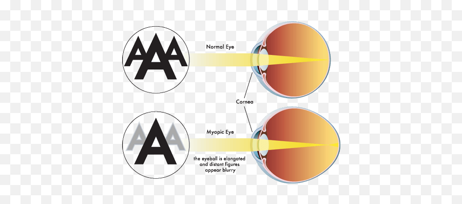 Highlight U2013 My Macular Degeneration Journeyjournal Emoji,Dalai Lama Emotion Chart