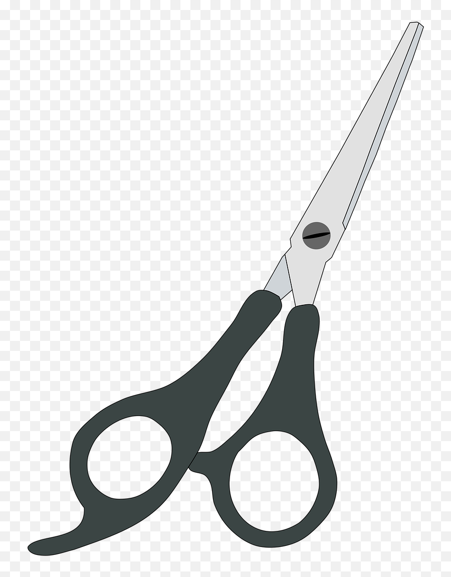 Hair Clip Accessories Fashion - Free Image On Pixabay Emoji,Making Emojis Hair