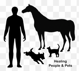 Renewall Energy Faq - Animal Figure Emoji,Emotion Code Magnets