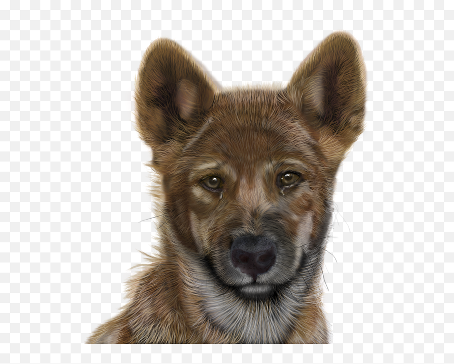 Free Dog Transparent Gif Download Free - Graphics Emoji,Dog Wagging Emoji