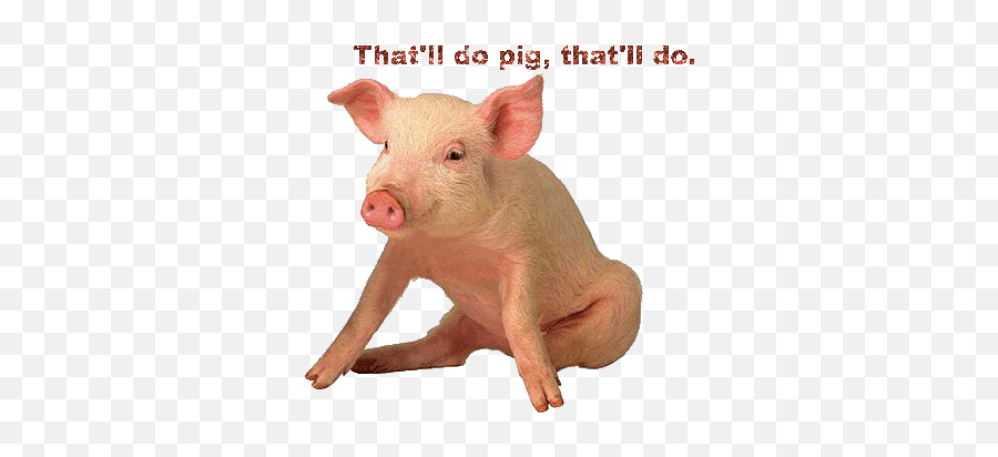 Pigs Glitter Gifs - Gifs De Cerdos Animados Emoji,Pig Emoticon Gif