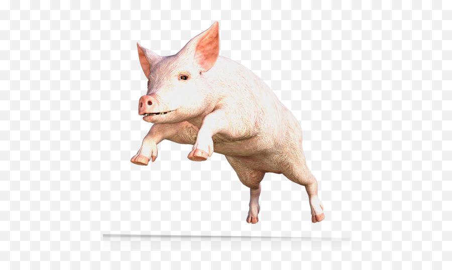 Pig Piglet Piggy Animal Public Domain Image - Freeimg Maiale Png Emoji,Pig Kawaii Emoticon
