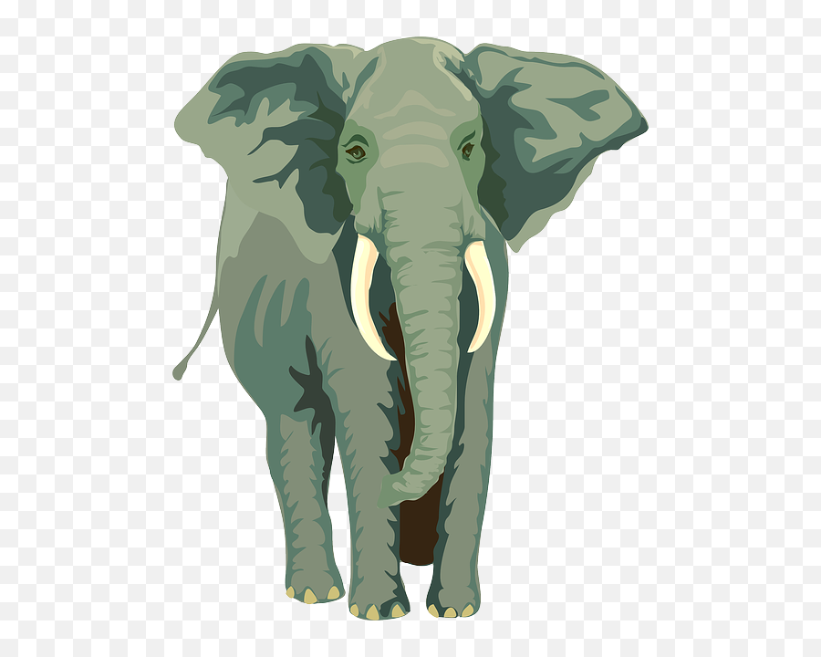 Soul From A Baby Elephant - Elephant Rope Emoji,Quote Emotion Reason Elephant