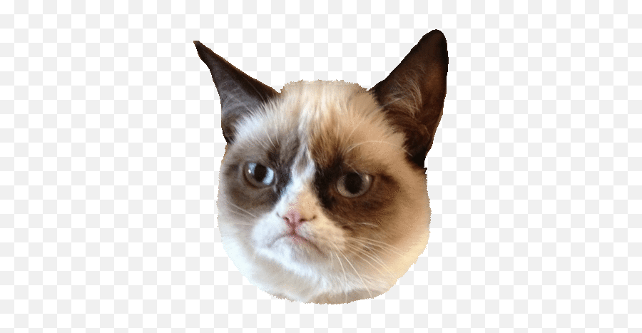 Cara Bermain Game Ps2 Di Android Kaskus - Cat Face Png Emoji,Ragnarok Emoticon Shortcut