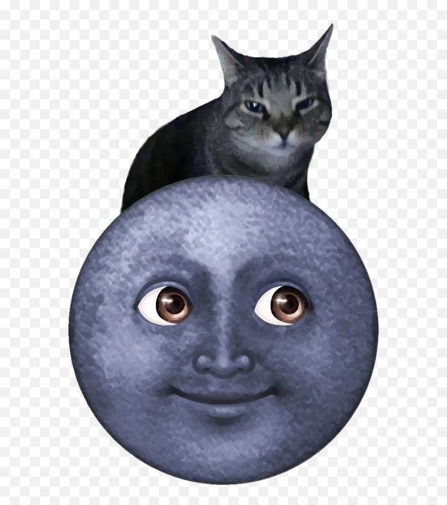 Moonkitty The Beggining U2014 Steemit - Dot Emoji,Hungover Emoji