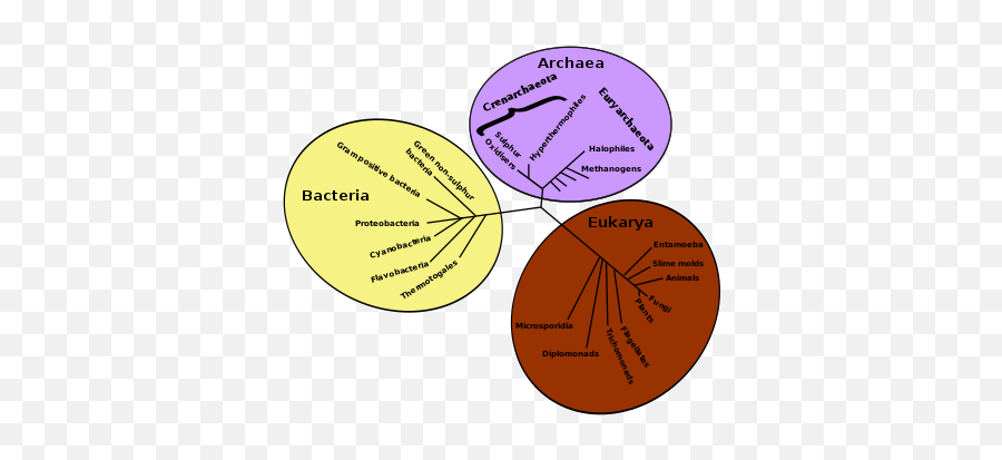 Portalevolutionary Biology - Wikiwand Emoji,Emotions Evolution Creative Commons