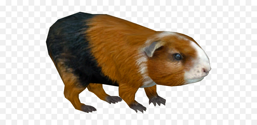 Guinea Pig - Guinea Pig Png File Full Size Png Download Emoji,Piggy Emoji Roblox