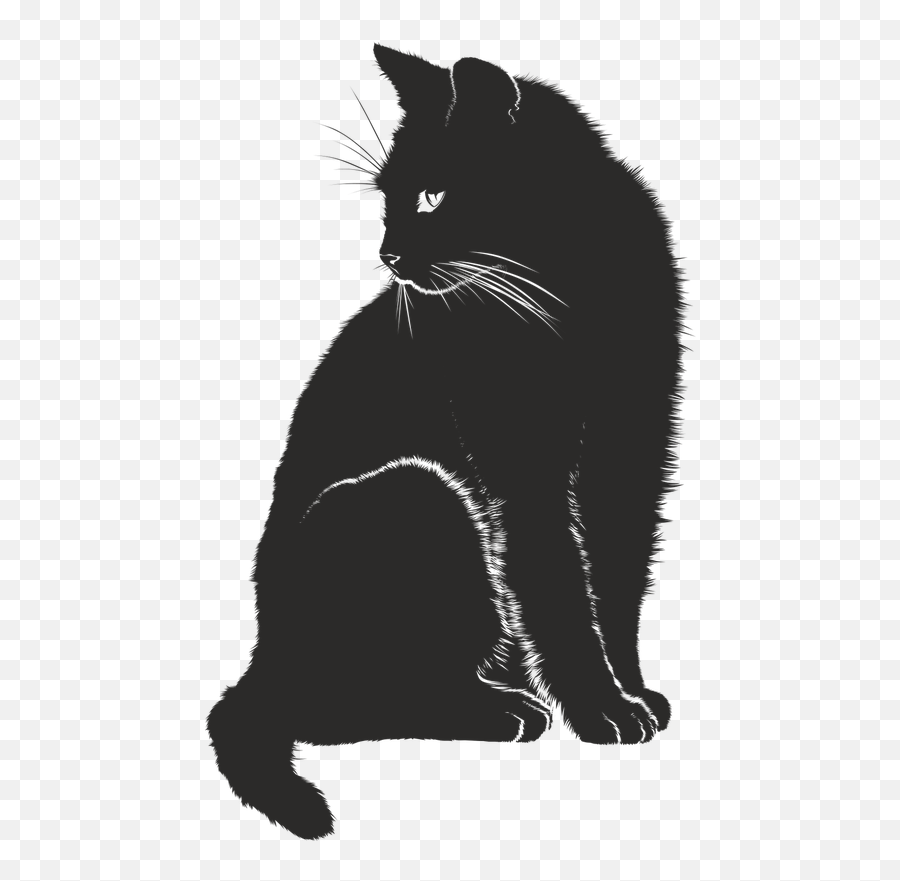 Download Wild Photos Vector Cat Free Hd Image Hq Png Image Emoji,Black Cat Face Emoji