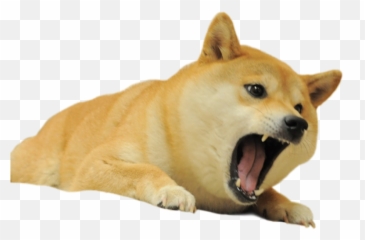 Doge Lore Stickers By School District Of Haverford Township Emoji,Wechat Doge Emoji