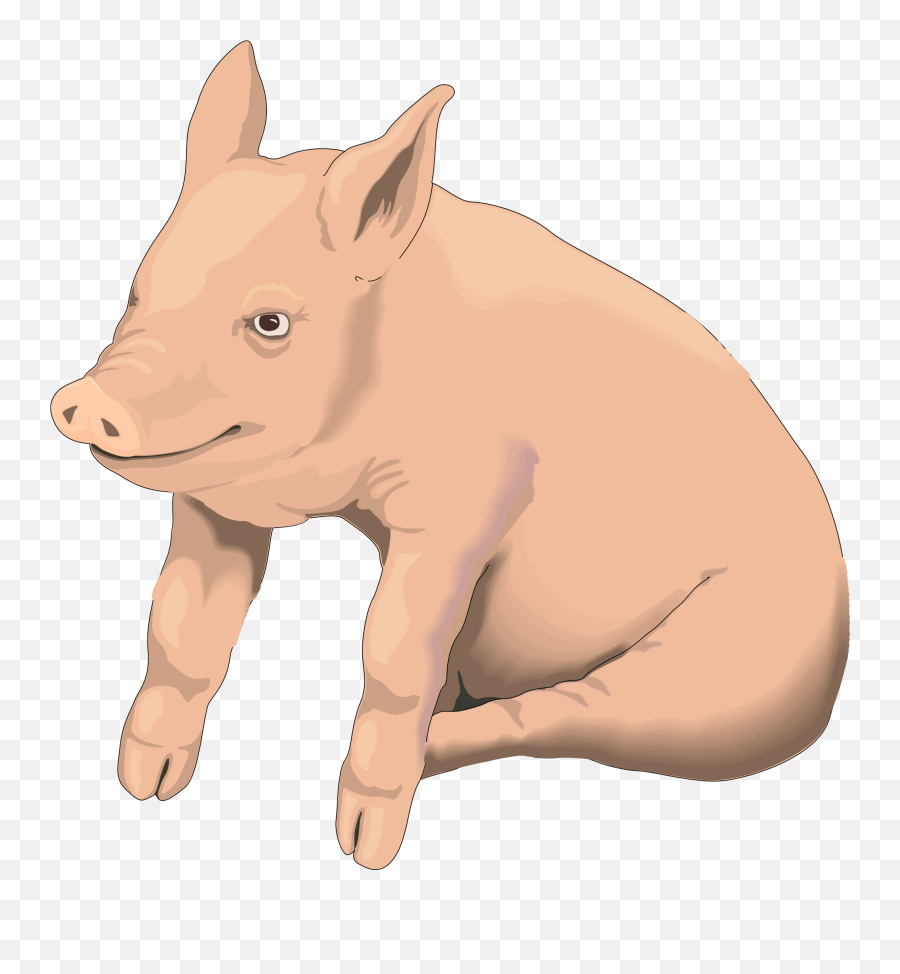 Free Pig Clipart Transparent Download - Pigs Transparent Background Emoji,Pig Emoji Wallpaper