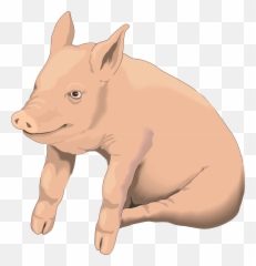 Free Pig Clipart Transparent Download - Pigs Transparent Background Emoji,Pig Emoji Wallpaper