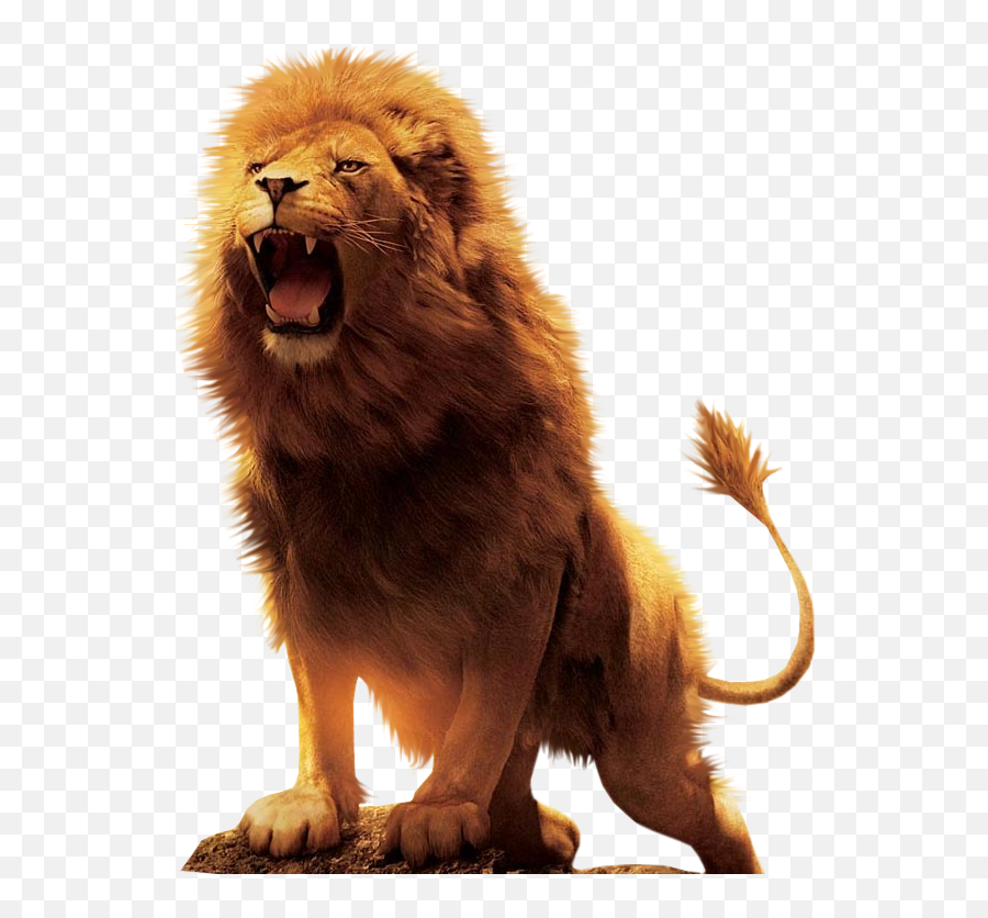 The Coolest Lion Animals U0026 Pets Images And Photos On Picsart - Lion Images Hd Png Emoji,Lion Emoji