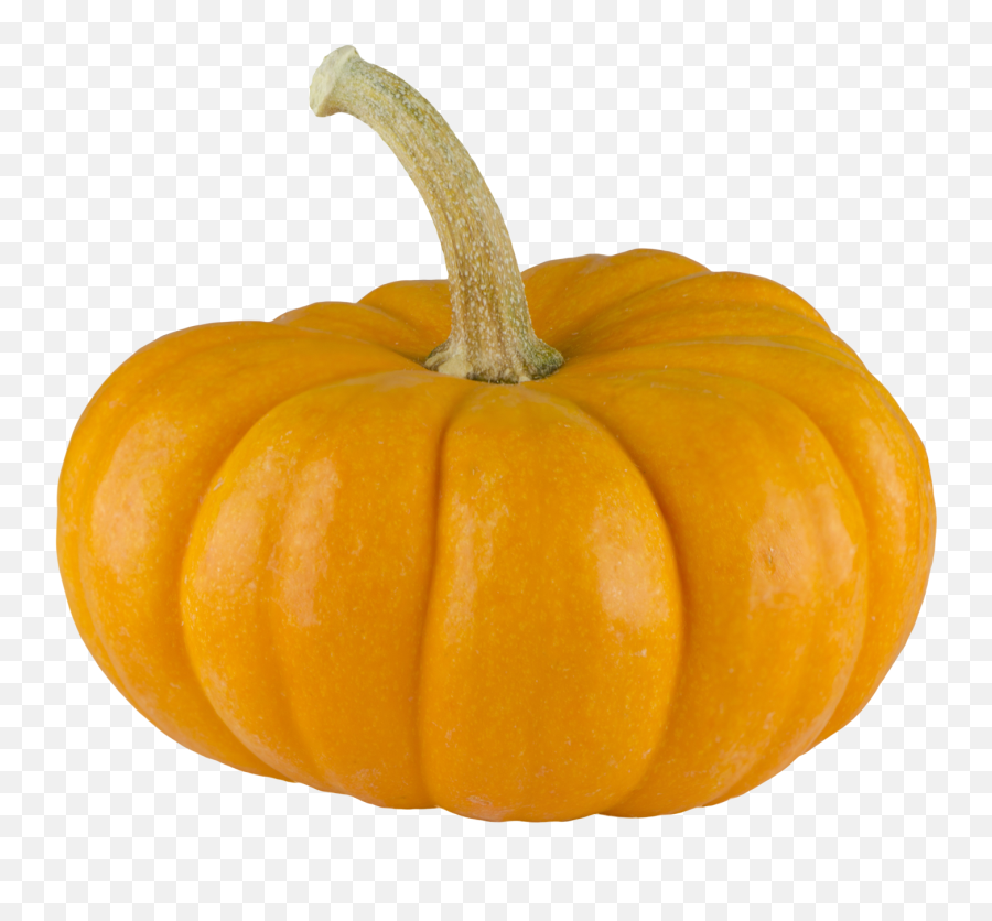 Free Png Image Halloween Pumpkin High Quality Free Png - Real Pumpkin Transparent Background Emoji,Squash Emoji