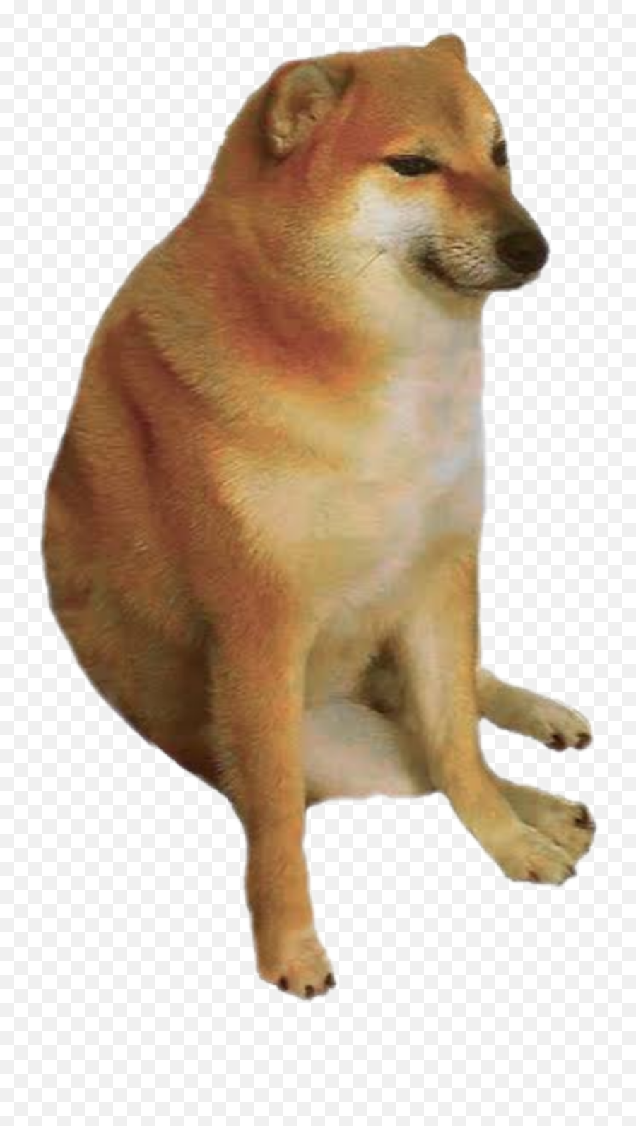 The Most Edited Memenew Picsart - Transparent Background Cheems Png Emoji,Shib Inu Emoticon