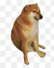 The Most Edited Memenew Picsart - Transparent Background Cheems Png Emoji,Shib Inu Emoticon