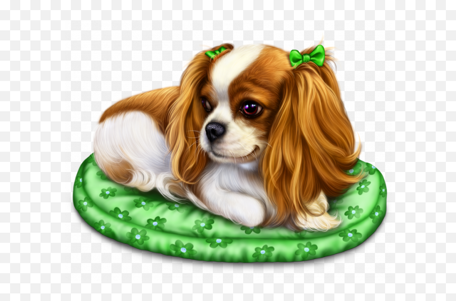 Pin - Cavalier King Charles Png Transparent Emoji,Cavalier King Charles Spaniel Sticker Emoji