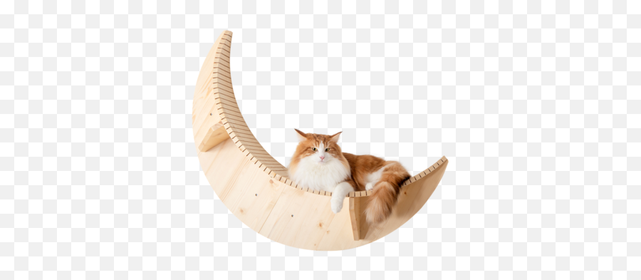 Myzoo - Build A Climbing Wall With Floating Cat Shelf For Your Cat Moon Wall Emoji,Cats Emojis