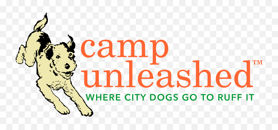 Camp Activities Camp Unleashed Emoji,An Introduction To Dog Intelligence And Emotion