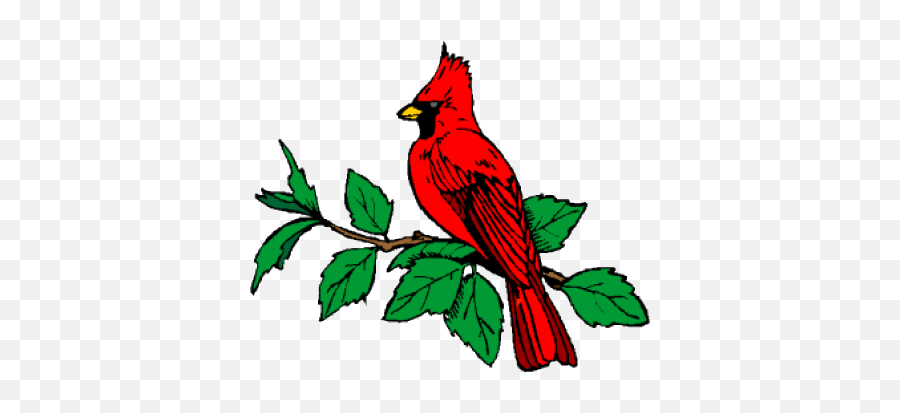 Indiana Bird - Bird Indiana State Flower Emoji,Cardinal Bird Facebook Emoticon