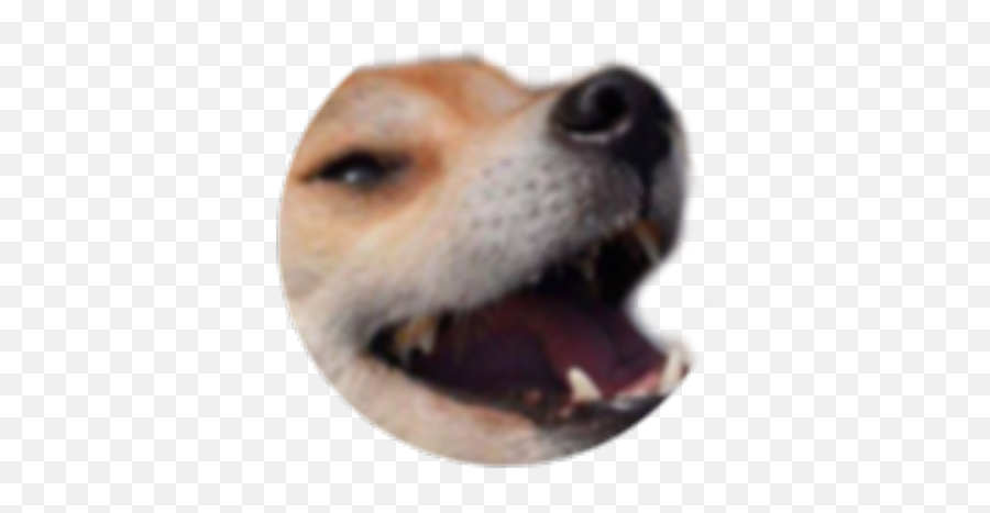 Welcome - Roblox Discord Sticker Emoji,Dog Emoticon Yawning