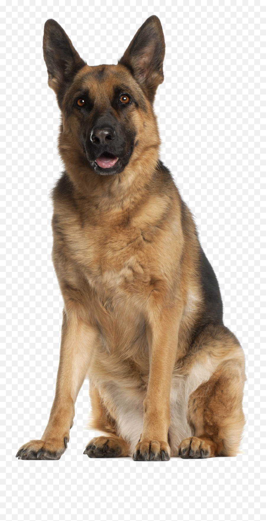 German Shepherd Png - German Shepherd Dog Ki Emoji,German Sheppherd Emotions Based On Ears