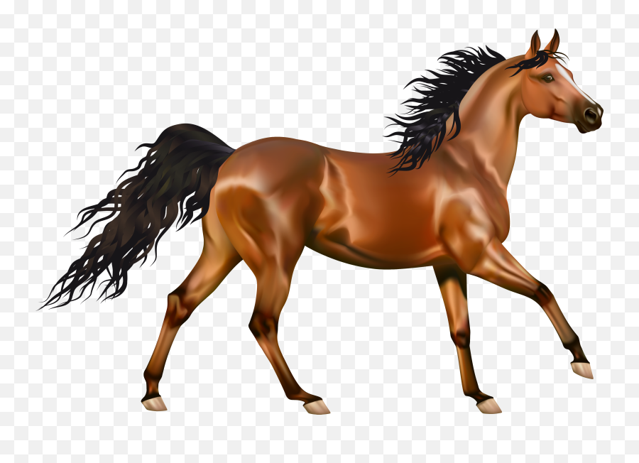 Horse Clipart Arabian Horse Horse - Horse Clipart Transparent Background Emoji,Hand Horse Horse Emoji