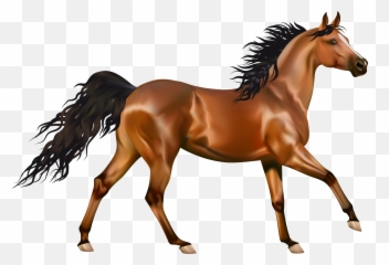 Horse Clipart Arabian Horse Horse - Horse Clipart Transparent Background Emoji,Hand Horse Horse Emoji