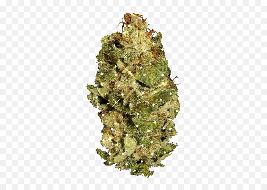 Marijuana Leaves Emoji Animated 1 - Weed Buds Gif Transparent,Pot Leaf Emoji