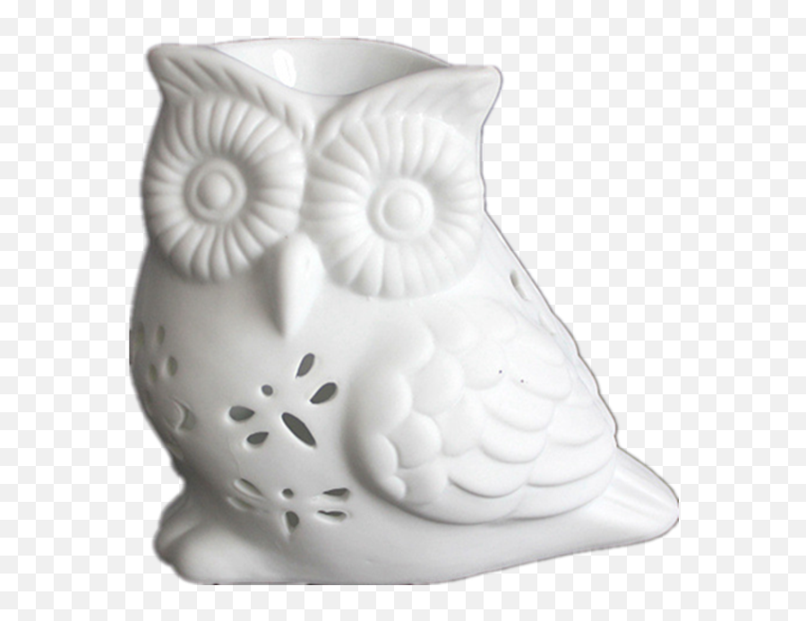 1pc Four Styles Owl Ceramic White Aroma Burner Essential Oil Emoji,Emotions Related To Owls
