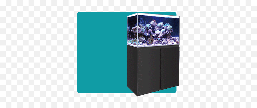 Fish Tank Pond U0026 Aquarium Supplies - Allpondsolutions Emoji,Fishtank Emoticon For Facebook