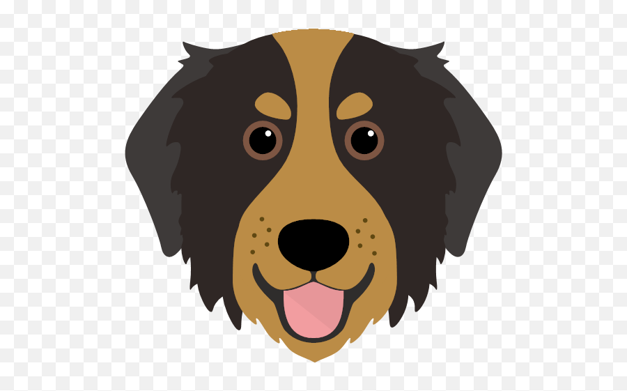 Create A Tailor - Made Shop Just For Your Bernedoodle Emoji,Dog Surprised Emoji