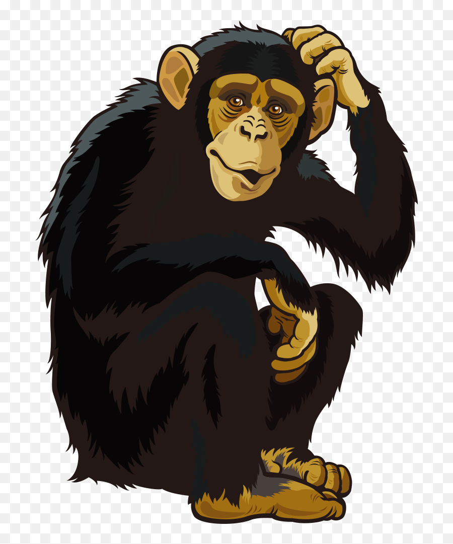 Monkey Vector Png - Apes Clipart Emoji,Monkey Emoji Costume