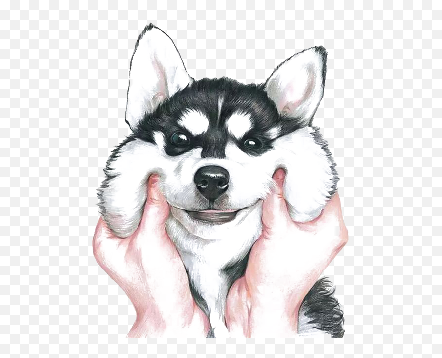 Husky Dog Smile Sticker By Parietal Imagination Art - Realistic Cute Dog Drawing Emoji,Husky Emoji