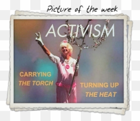 Brattononlinecom The Latest Incarnation Of Bruce - Picture Frame Emoji,Emotion Solar Pmp