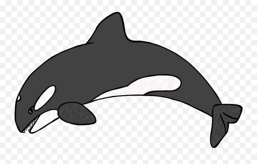Killer Whale Clipart Black And White - Orca Whale Clip Art Emoji,Orca Emoji