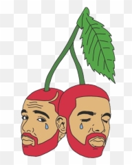 Drake Clipart Face - Sticker Png Download Full Size For Adult Emoji,Emotions Drake