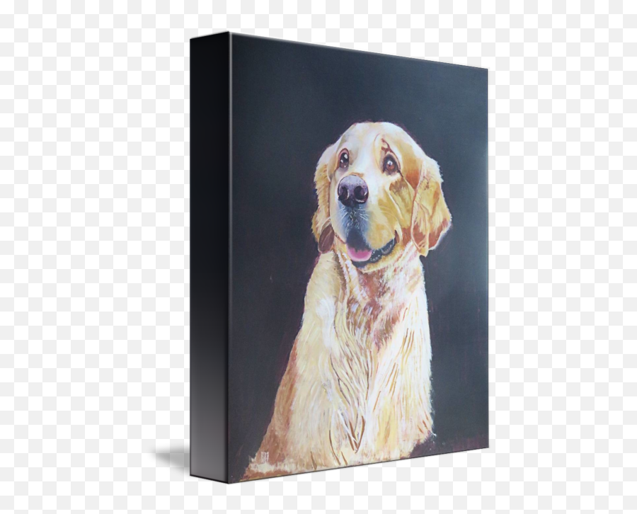 Pet Dog Portraits Golden Retriever - Picture Frame Emoji,Emotions Through Hair Oil Art