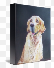 Pet Dog Portraits Golden Retriever - Picture Frame Emoji,Emotions Through Hair Oil Art