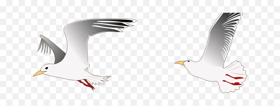 Bird Wings Seagull Cartoon Drawing Cute - 2 Gaviotas Animadas Volando Emoji,Seagull Emoticon