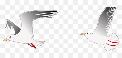 Bird Wings Seagull Cartoon Drawing Cute - 2 Gaviotas Animadas Volando Emoji,Seagull Emoticon