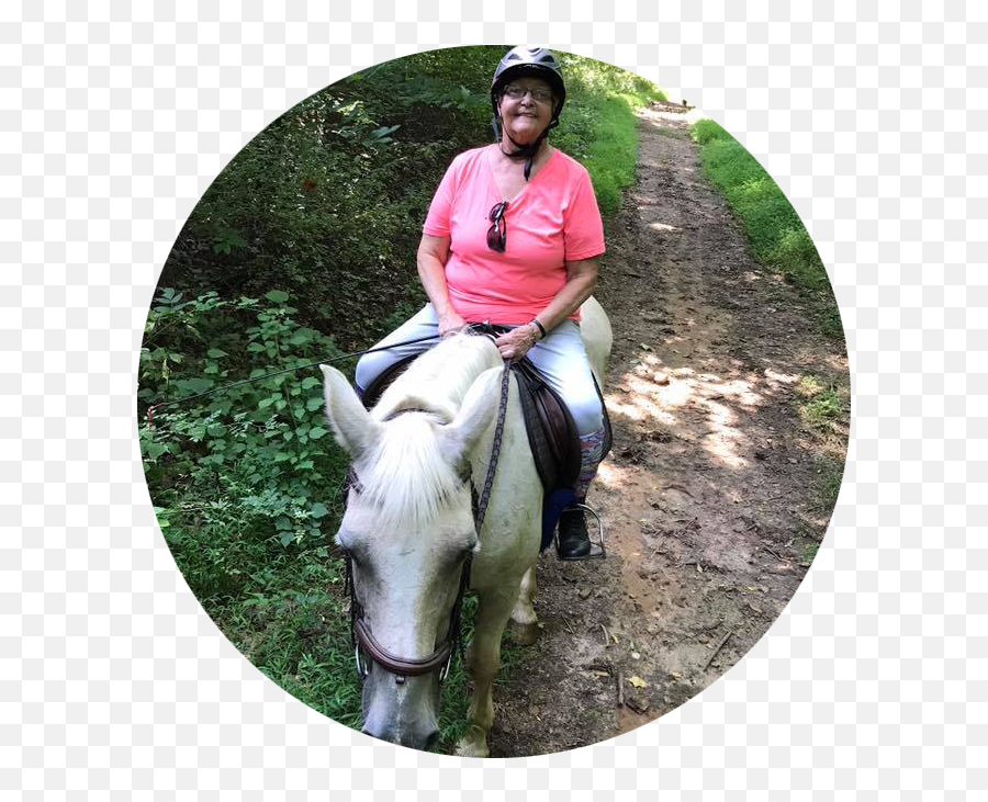 Freedom Hills Therapeutic Riding - Bridle Emoji,Emotion Horse Rider Metaphor