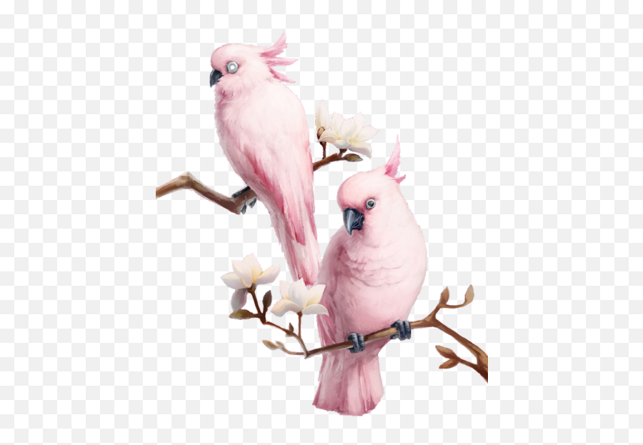 The Most Edited - Pink Birds Emoji,Cockatoo Facebook Emoji